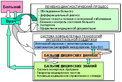 Основные направления информационной поддержки деятельности врача.